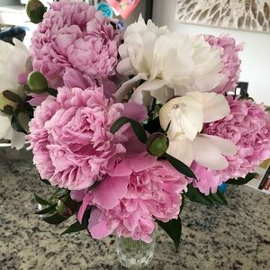 Meet your Posher, Caryn